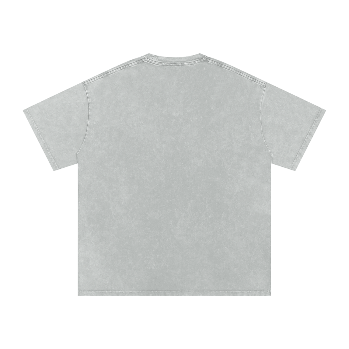 Catalyst Snow Washed Oversized Cotton T-Shirt