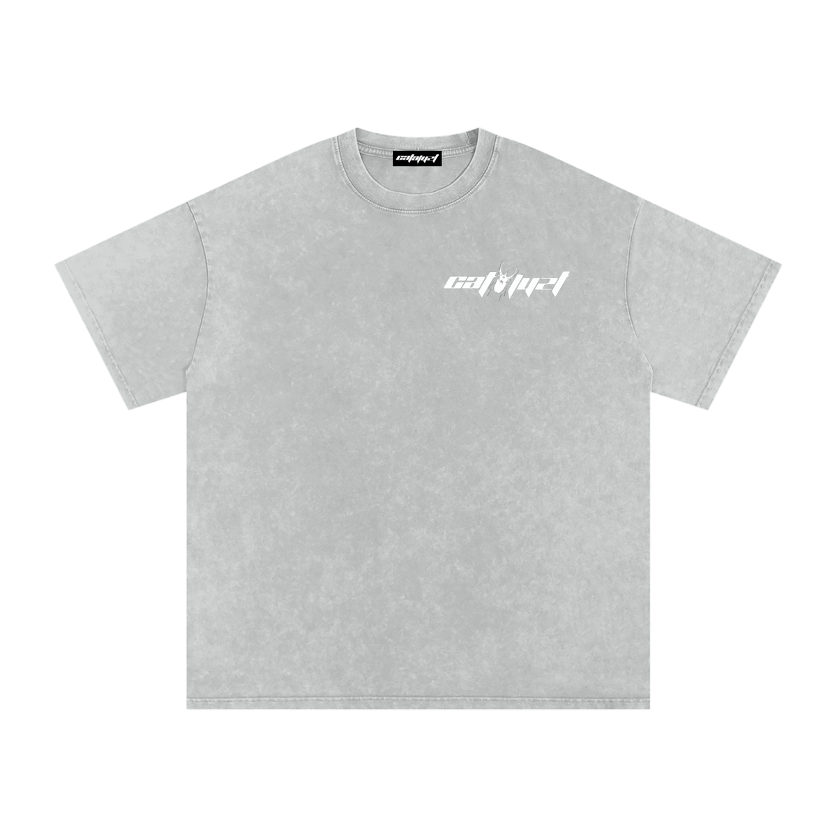 Catalyst Snow Washed Oversized Cotton T-Shirt