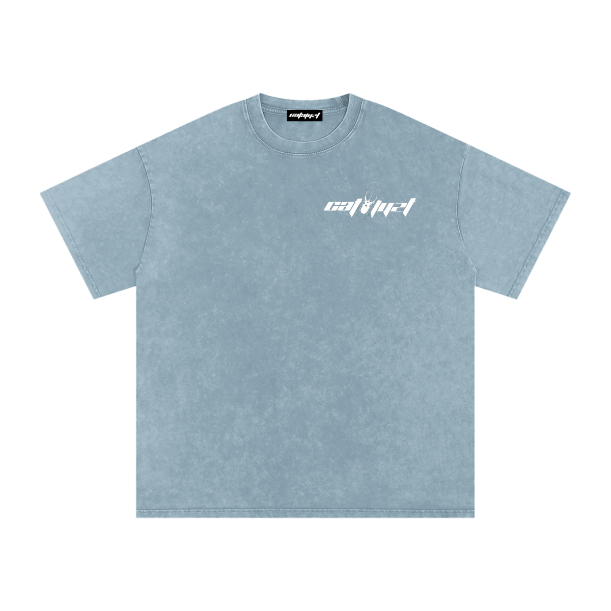 Catalyst Snow Washed Oversized Cotton T-Shirt