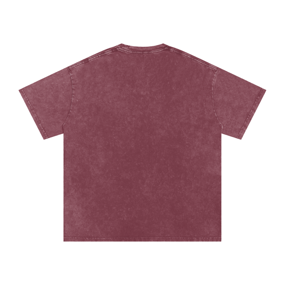 Catalyst Snow Washed Oversized Cotton T-Shirt
