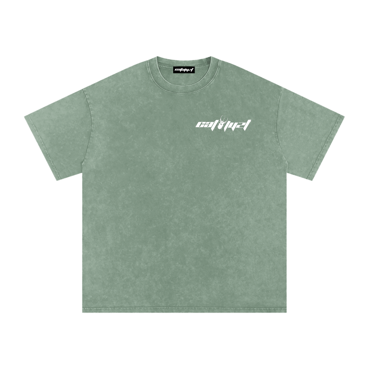 Catalyst Snow Washed Oversized Cotton T-Shirt
