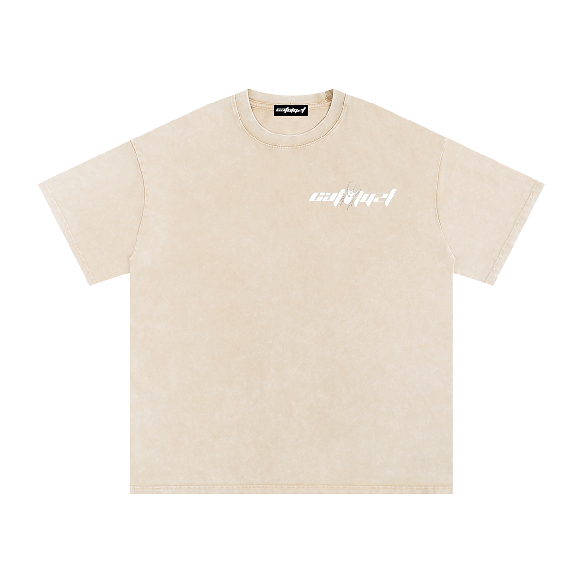 Catalyst Snow Washed Oversized Cotton T-Shirt