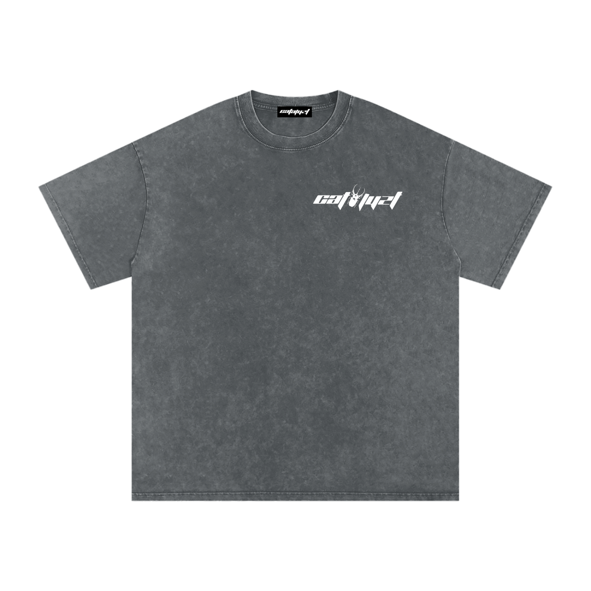 Catalyst Snow Washed Oversized Cotton T-Shirt