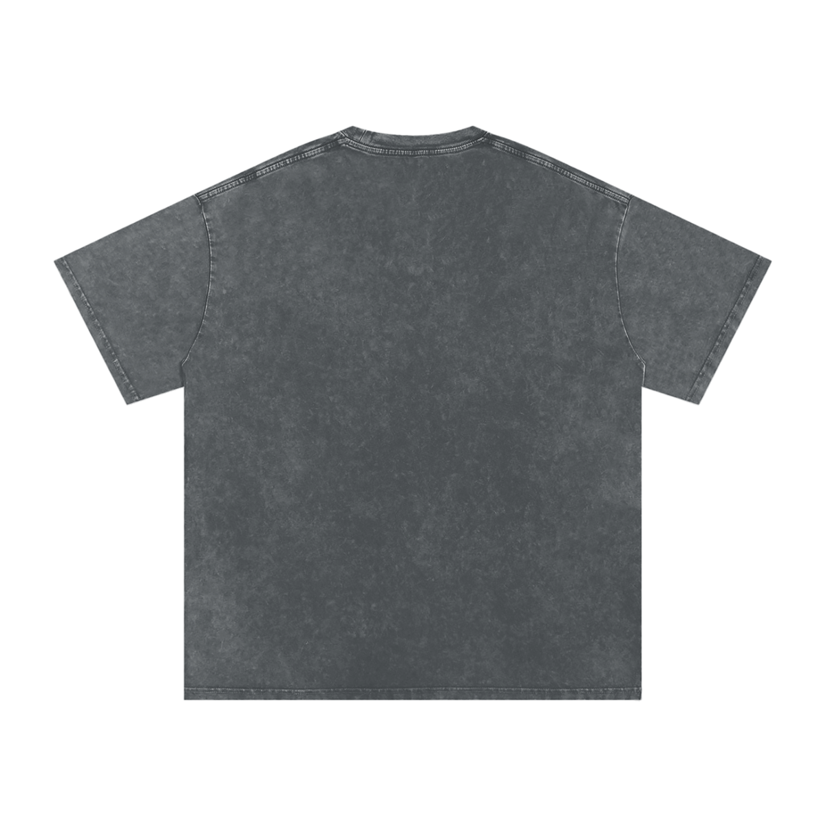 Catalyst Snow Washed Oversized Cotton T-Shirt