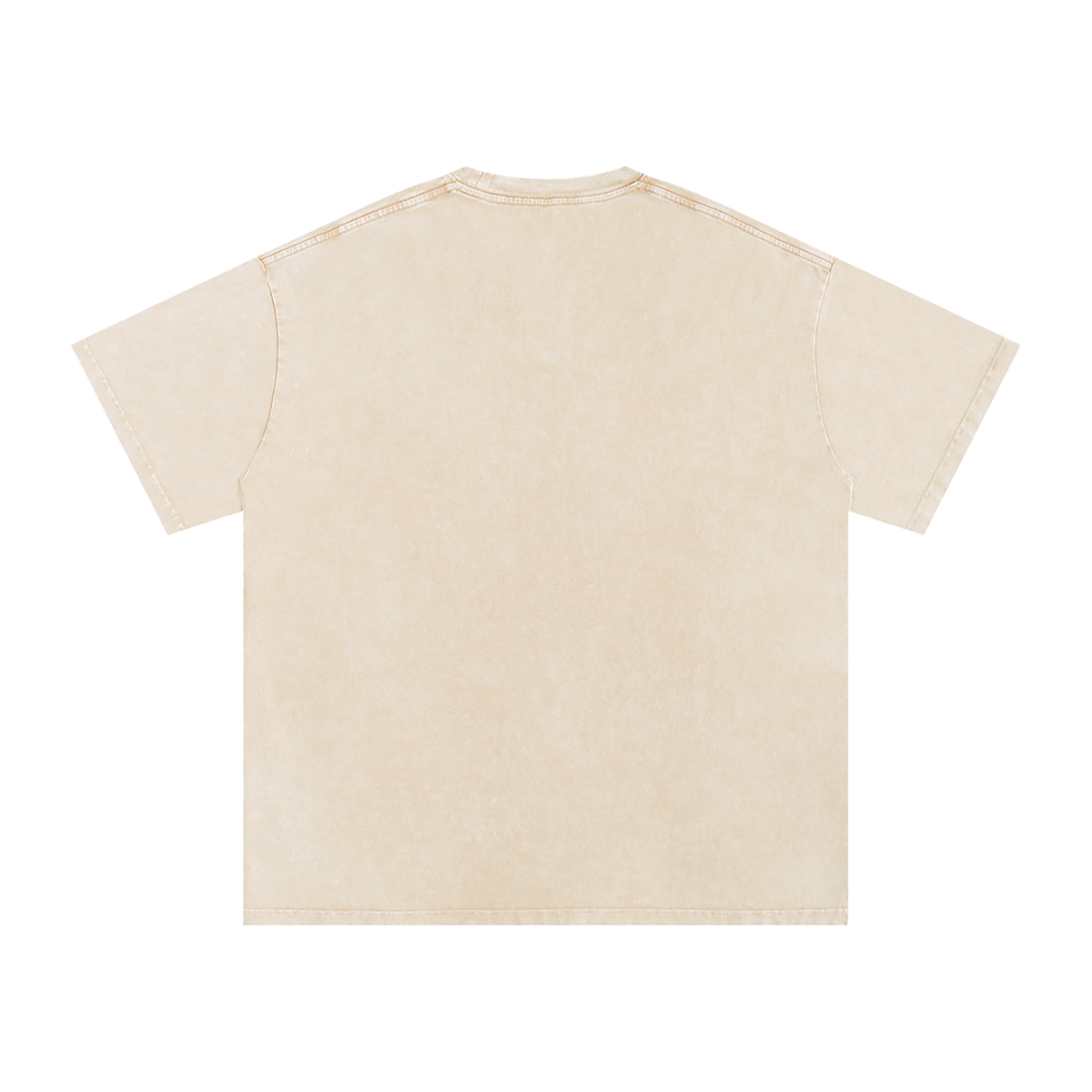 Catalyst Snow Washed Oversized Cotton T-Shirt