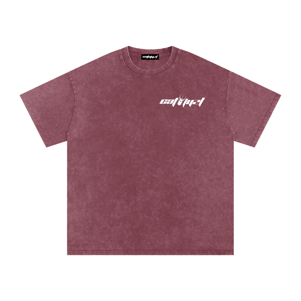 Catalyst Snow Washed Oversized Cotton T-Shirt