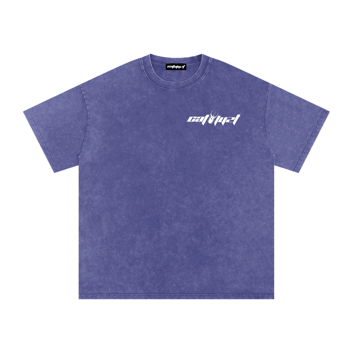 Catalyst Snow Washed Oversized Cotton T-Shirt