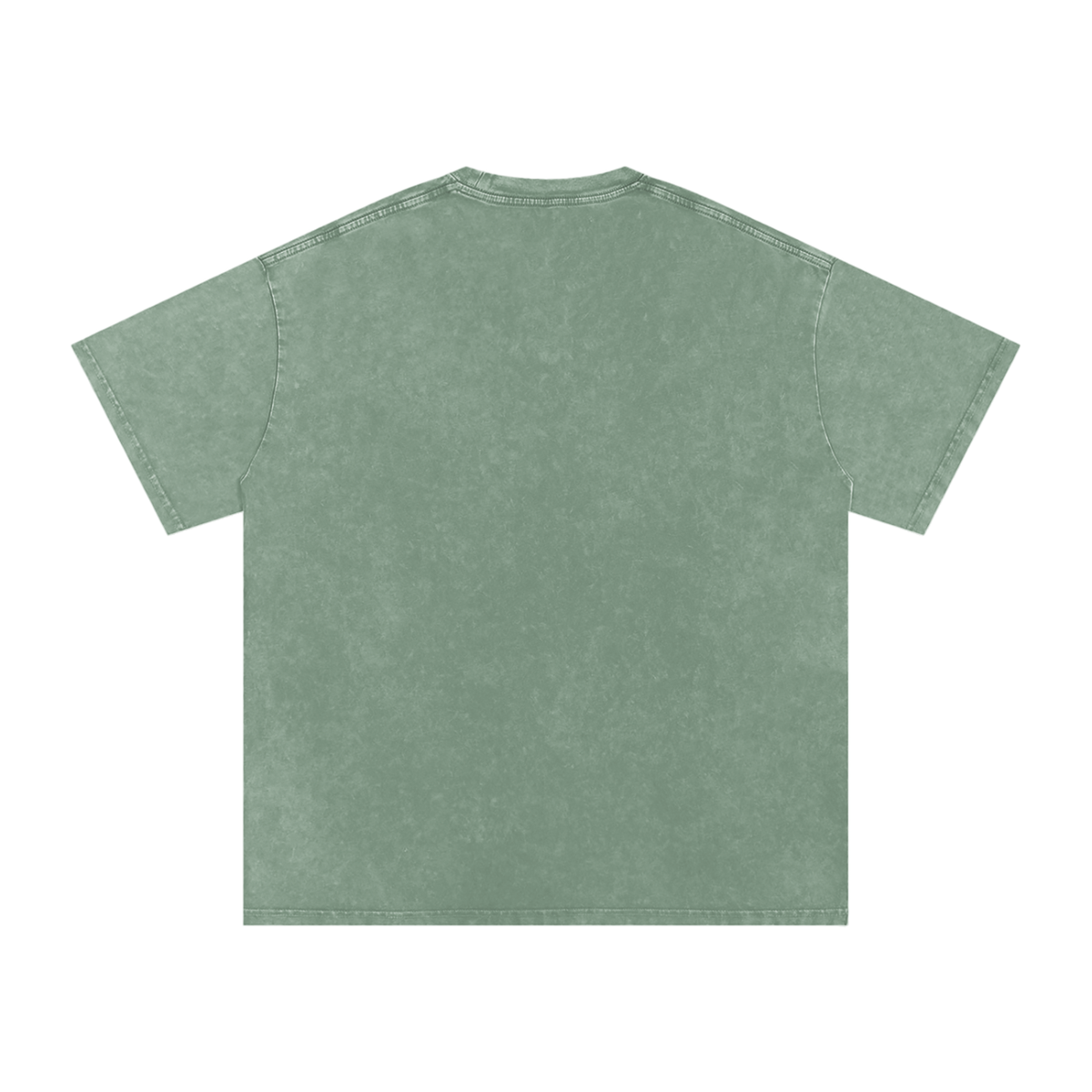 Catalyst Snow Washed Oversized Cotton T-Shirt